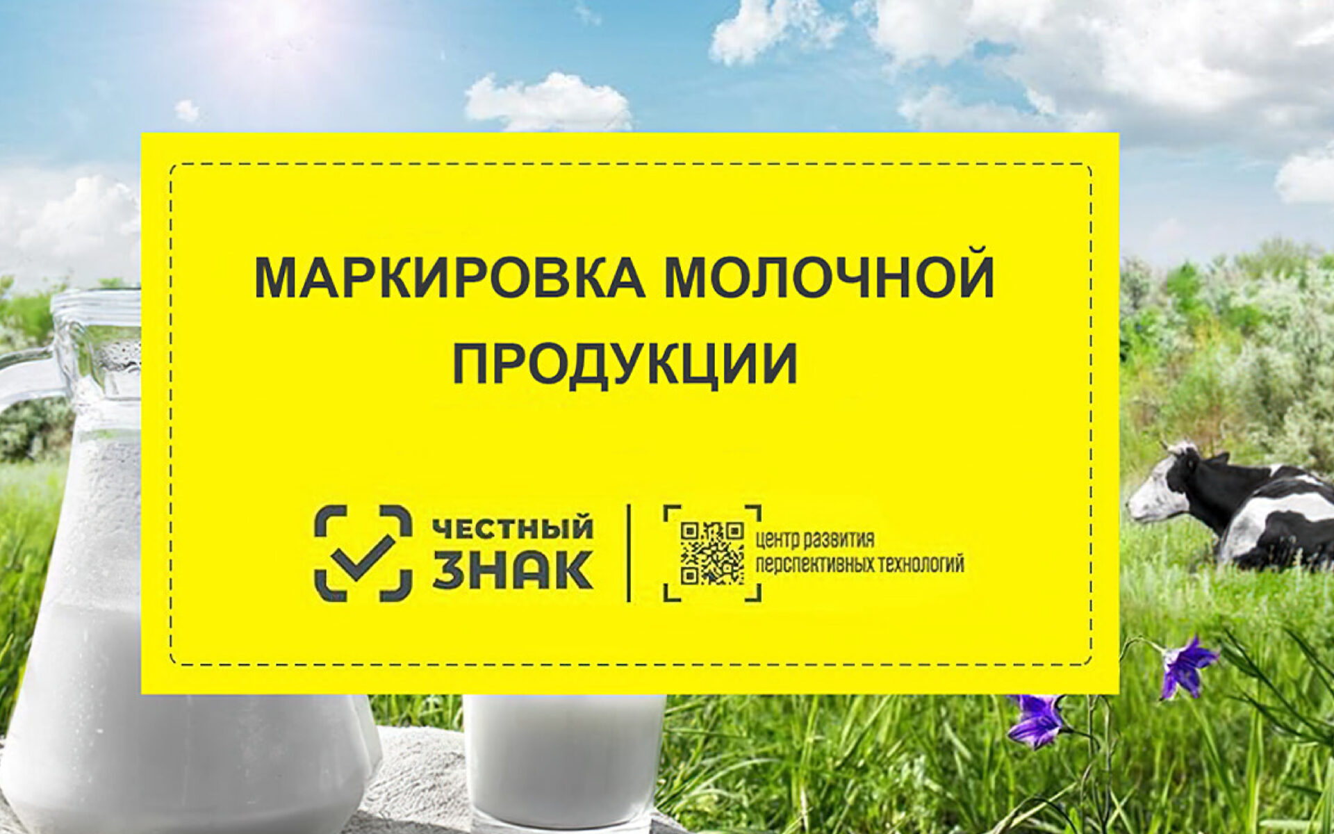 Со сроком. Маркировка молочной продукции. Маркировка молочной продукции с 2021. Маркировка честный знак молочная продукция. Молоко маркировка.