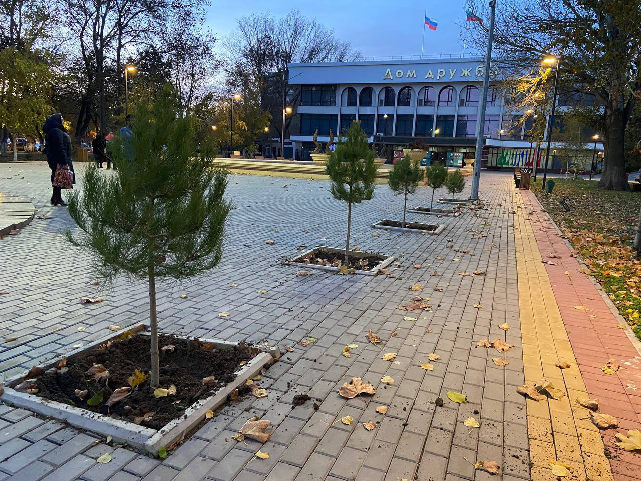 В парках и скверах Махачкалы продолжается сезонная посадка деревьев