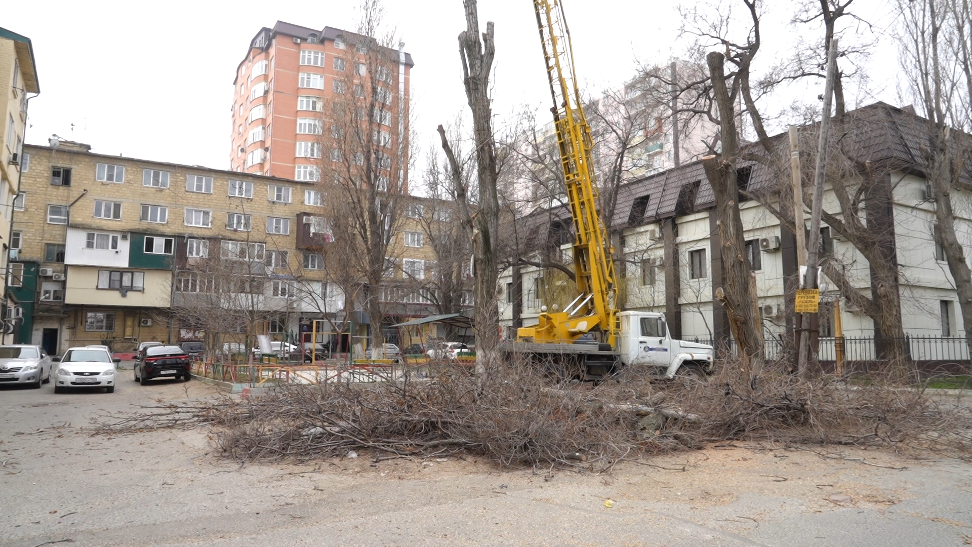 В Махачкале идет обрезка деревьев