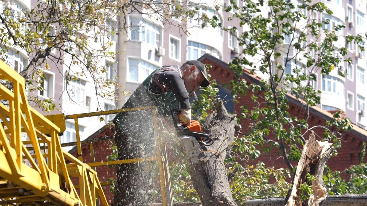 Вторые сутки городские службы продолжают устранять последствия шквалистого  ветра, прошедшего накануне в Махачкале | 12.09.2023 | Новости Махачкалы -  БезФормата