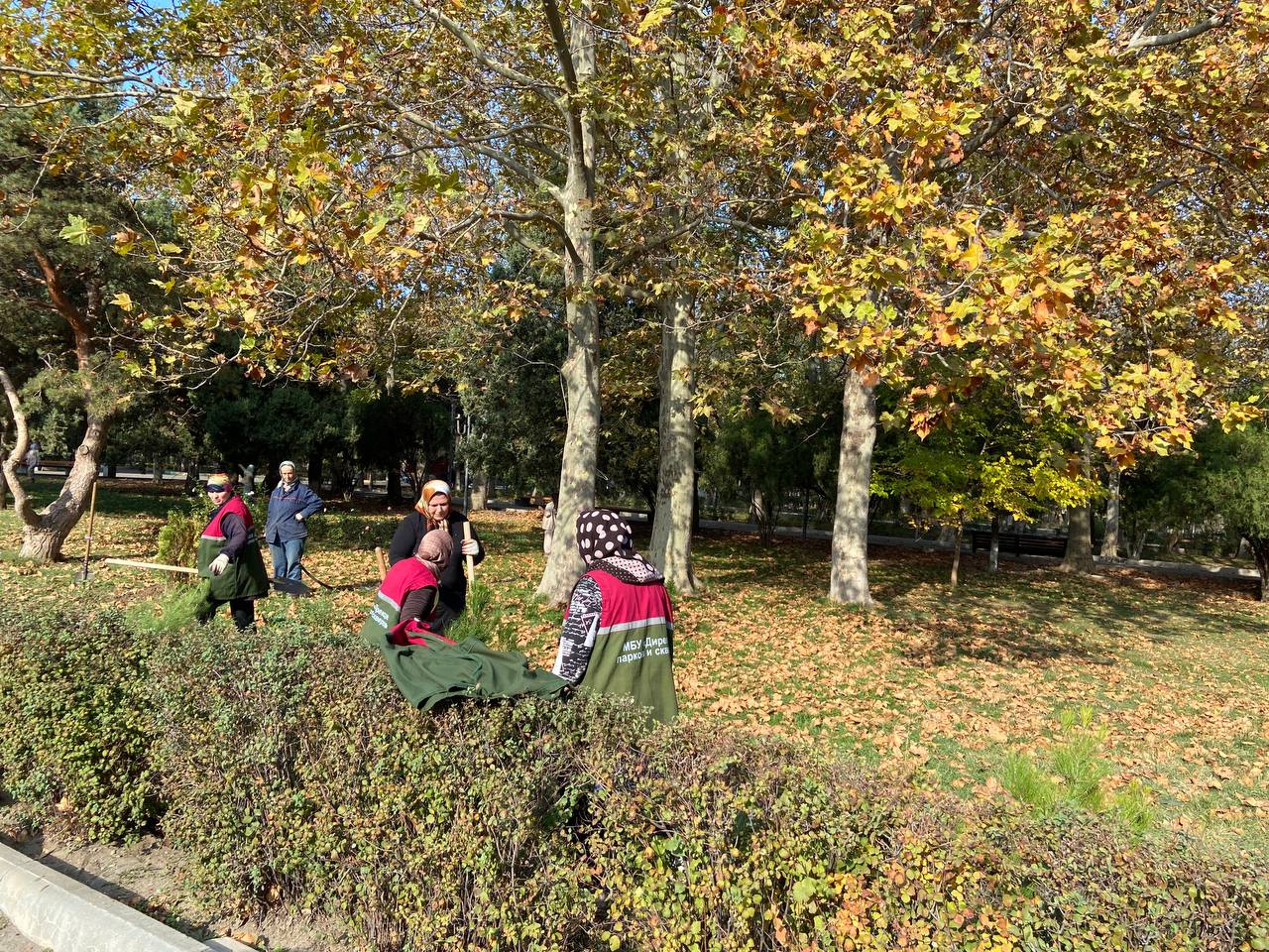 Парк ленинского комсомола махачкала фото. Город Семенов парк Ленинского Комсомола. Парк Ленинского Комсомола Махачкала. Парк Ленинского Комсомола Новороссийск. Кладбище в парке Ленинского Комсомола.